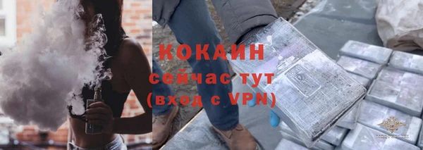 соль ск Алексин