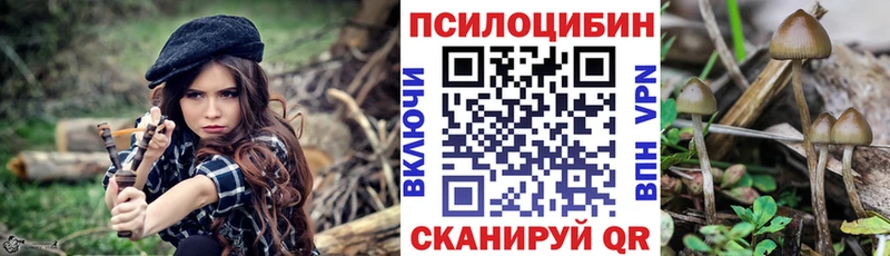 omg как зайти  магазин    Аркадак  Псилоцибиновые грибы мицелий 